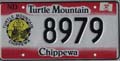 chippewa_turtle mountain